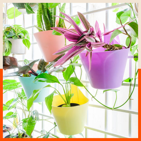 KAI Hanging Oval Planters For Home (Lavender - Set of 5)